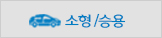 소형/승용