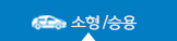 소형/승용